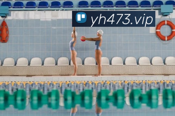 未来规划